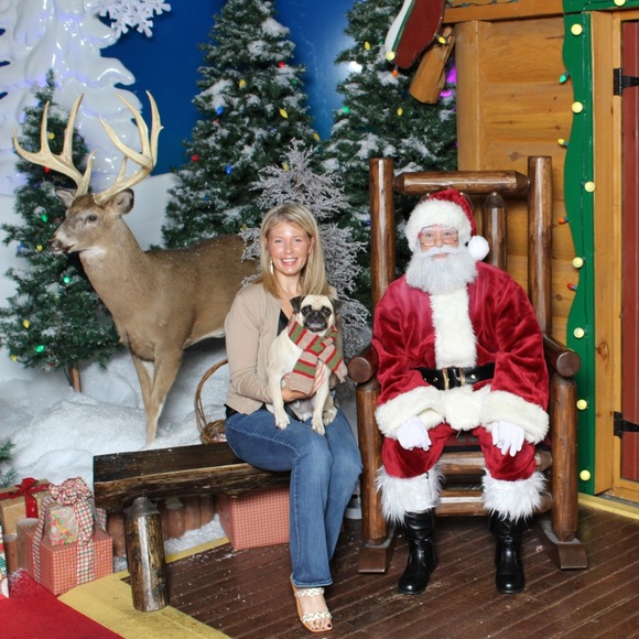 Meet your Posher, Gwen - Picture 5 of 5